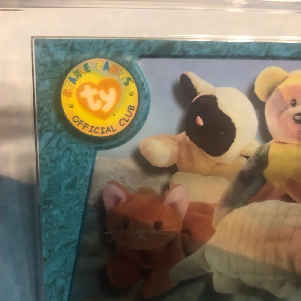 Ty Collectible Card with Teal Blue Frame and Multicolor Bears
